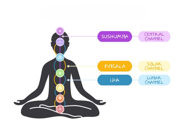 The Sacred Energy Pathways: Understanding Nadis in Yogic Philosophy