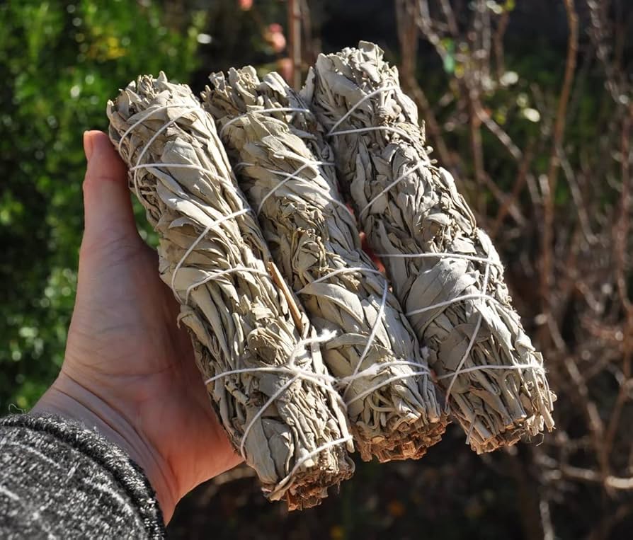 Sacred Sage: The Ancient Herb for Purification, Healing & Inner Balance